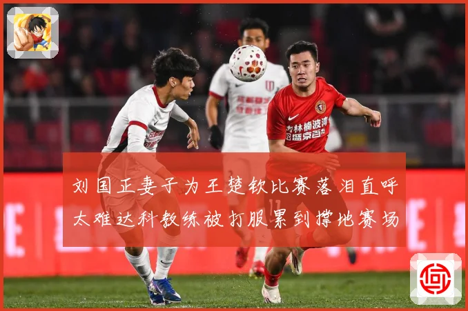 刘国正妻子为王楚钦比赛落泪直呼太难达科教练被打服累到撑地赛场解读-深度解析
